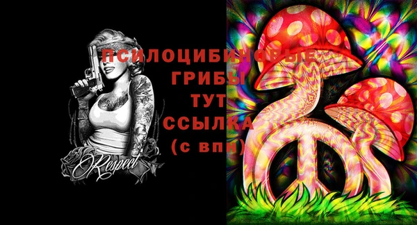 2c-b Балабаново