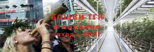 сатива Белоозёрский